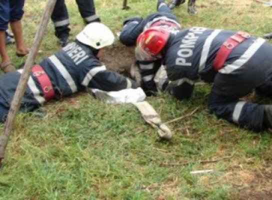 Pompierii au salvat un cal căzut într-o hazna